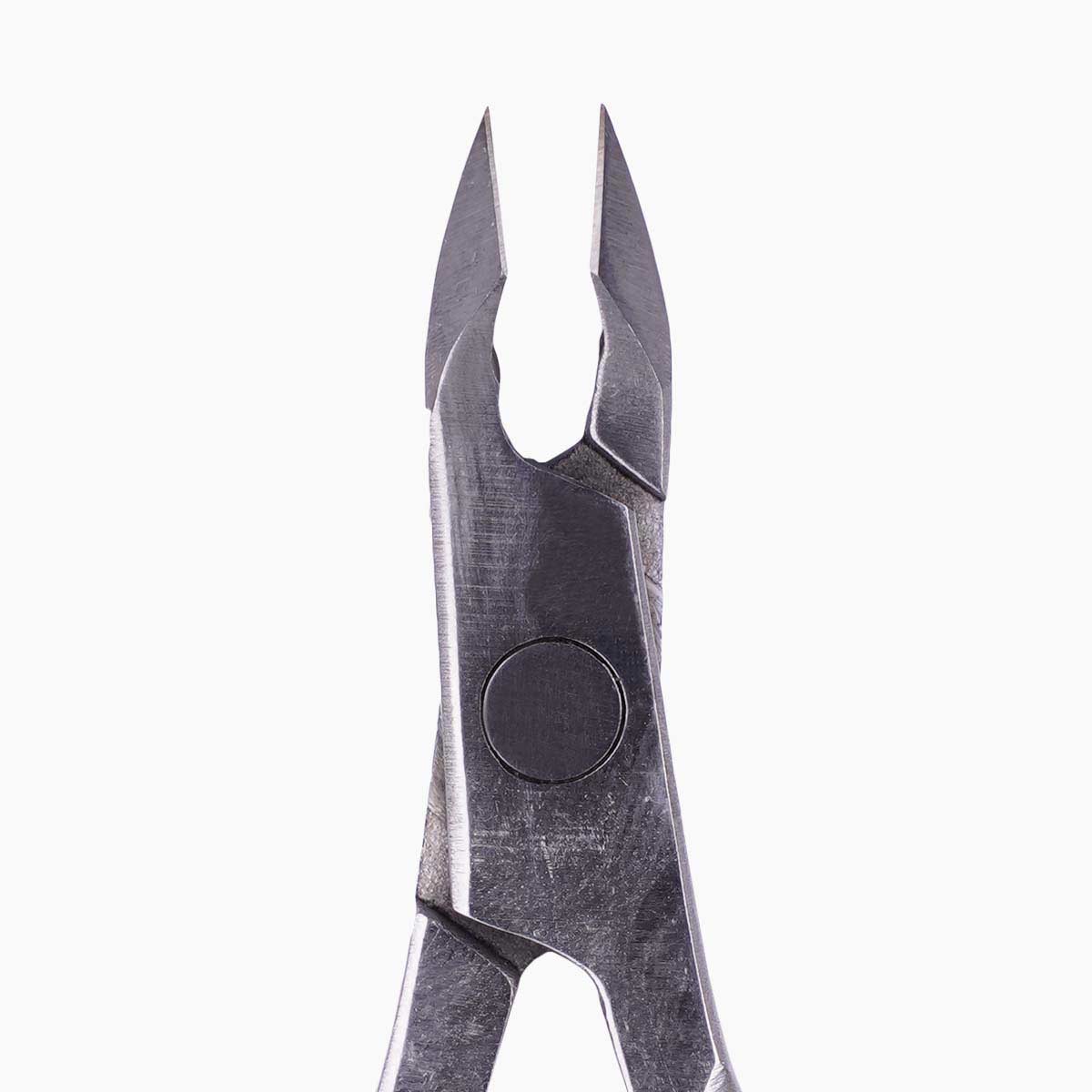 Nipper-Poke-Talqi-aaa-il-5-(2)