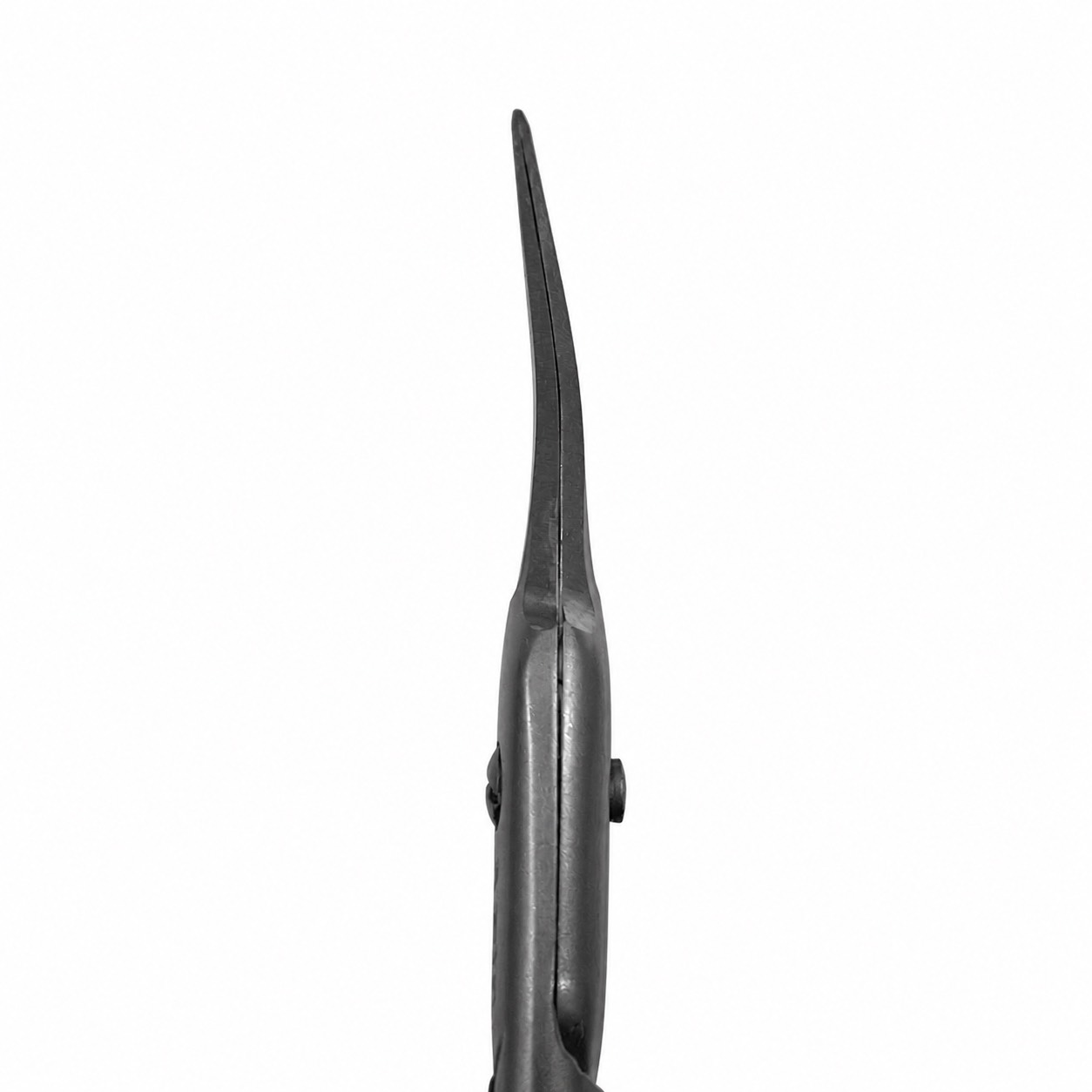 4F92F666-D159-4922-ACAF-6B37C91537BB.png